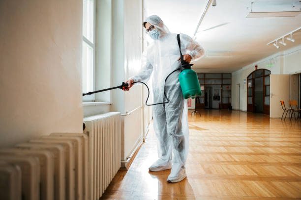 Best Fumigation Services  in Ocean City, NJ